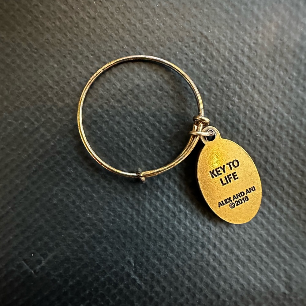 Alex And Ani Key To Life ring, 2016